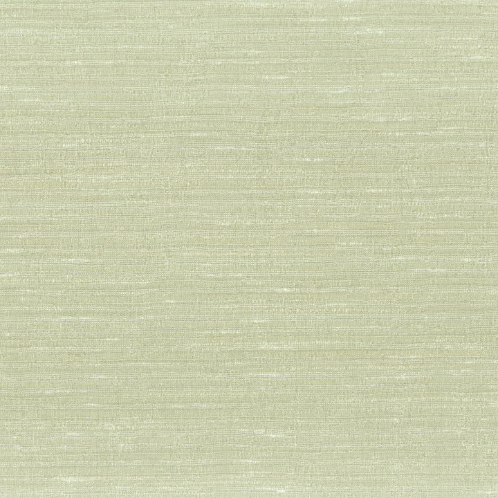 Altamira 2 Mushroom by Stout Fabric COLOR MY WINDOW BIRCH/LINEN 100%POL INDIA FLAME RETARDANT-U.F.A.C. CLASS 1 FLAME RETARDANT-N.F.P.A. 260A CLASS 1 CATB 117-2013 Horizontal: 0 and Vertical: 0 54 in - Fabric Carolina -