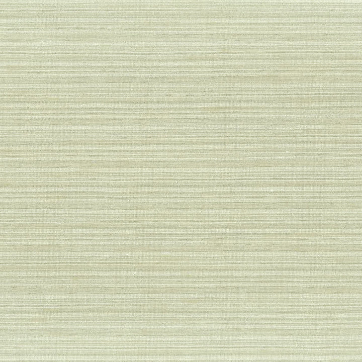 Altamira 3 Driftwood by Stout Designer Fabric COLOR MY WINDOW BIRCH/LINEN 100%POL INDIA FLAME RETARDANT-U.F.A.C. CLASS 1 FLAME RETARDANT-N.F.P.A. 260A CLASS 1 CATB 117-2013 Horizontal: 0 and Vertical: 0 54 in - Swanky Fabrics -