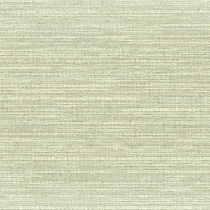 Altamira 3 Driftwood by Stout Fabric COLOR MY WINDOW BIRCH/LINEN 100%POL INDIA FLAME RETARDANT-U.F.A.C. CLASS 1 CATB 117-2013 WYZENBEEK 45 000 DOUBLE RUB WEAR TEST (HEAVY DUTY) Horizontal: 0.000 and Vertical: 0.000 54 in - Fabric Carolina -