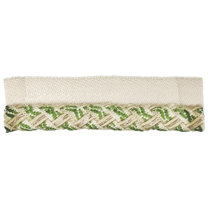 Altitude 2 Fern by Stout Trim TREND ALERT 52%SVI 36%COT 12%POL CHINA </p><p>Repeat: 0 0.38 in - Fabric Carolina -