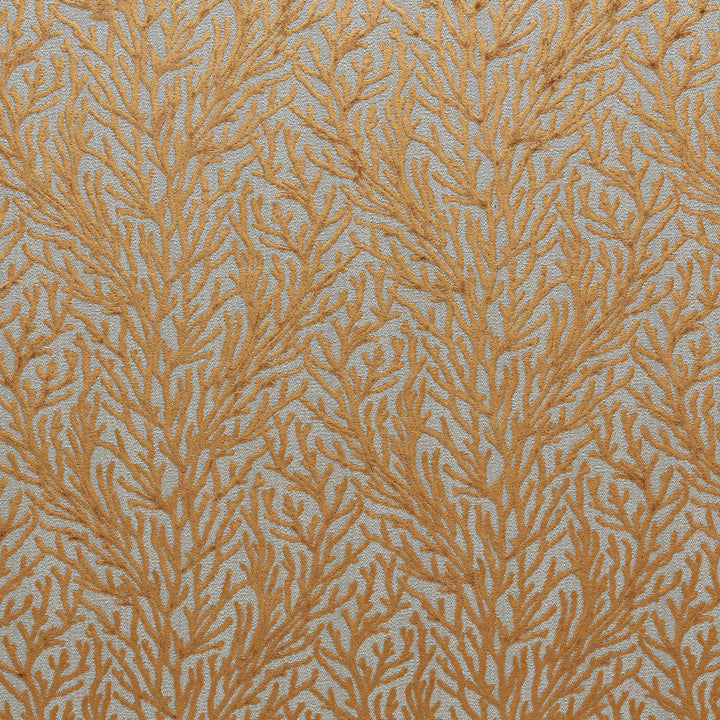 Alvi 5 Butterscotch by Marcus William Fabric KAI/MARCUS WILLIAM MAUI 73%POL 27%SVI INDIA MARTINDALE WEAR TEST (35 000 CIRCULAR RUBS) Horizontal: 13.375 and Vertical: 12.25 54 in - Fabric Carolina -