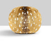 Antelope Pillow 12 Dia - Tawny ALRADKBOHE0002 by Scalamandre Designer Pillow