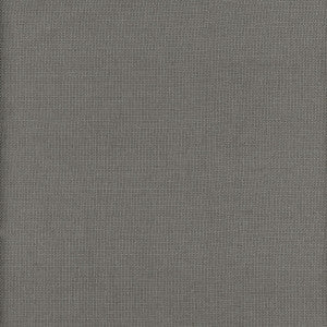Beagle Turtle by Kravet Couture Fabric