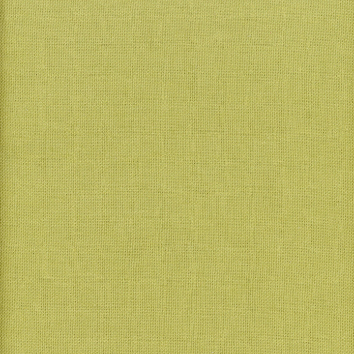 Beagle Lizard by Kravet Couture Fabric ANDREW MARTIN BEAGLE LINEN - 100% China MEDIUM Horizontal: 0 and Vertical: 0 57 - Fabric Carolina -