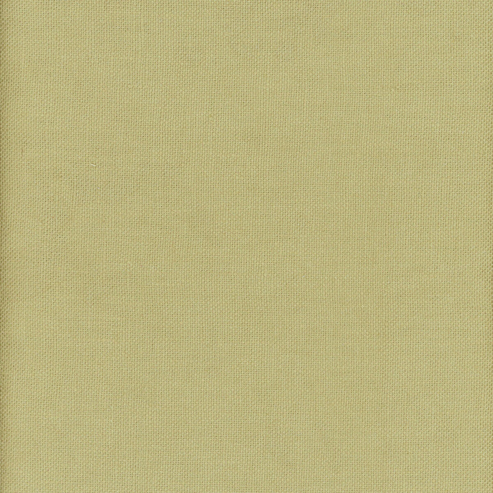 Beagle Firefly by Kravet Couture Designer Fabric ANDREW MARTIN BEAGLE LINEN - 100% China MEDIUM Horizontal: 0 and Vertical: 0 57 - Swanky Fabrics -