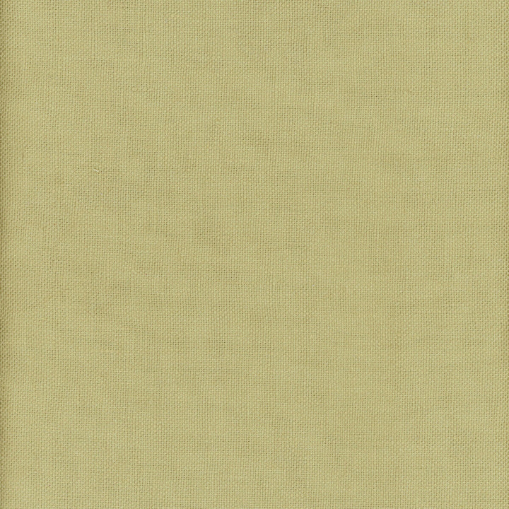 Beagle Firefly by Kravet Couture Fabric ANDREW MARTIN BEAGLE LINEN - 100% China MEDIUM Horizontal: 0 and Vertical: 0 57 - Fabric Carolina -