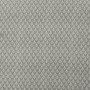 Bud Cloud by Kravet Fabric