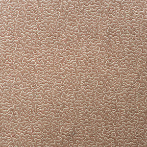 Pollen Orange by Kravet Fabric