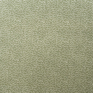 Pollen Leaf by Kravet Fabric