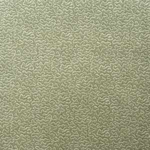 Pollen Leaf by Kravet Fabric