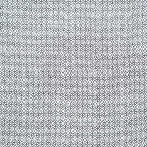 Audley Outdoor Storm by Kravet Fabric