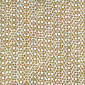 Audley Outdoor Ochre by Kravet Fabric