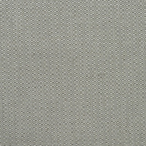 Birch Fog AM100390.11.0 by Kravet Couture Fabric