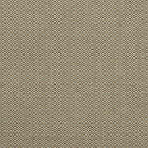 Birch Autumn AM100390.624.0 by Kravet Couture Fabric