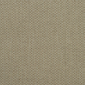 Birch Autumn AM100390.624.0 by Kravet Couture Fabric