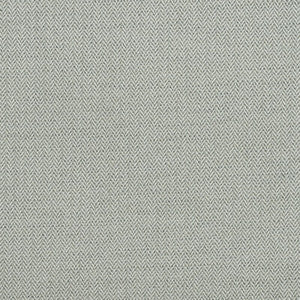 Birds Foot Storm AM100391.1121.0 by Kravet Couture Fabric