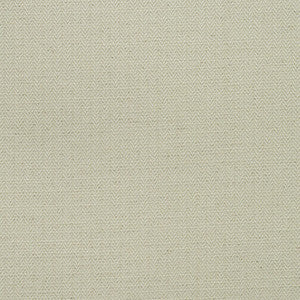 Birds Foot Chalk AM100391.1.0 by Kravet Couture Fabric