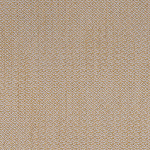 Ravello Lemon AM100431.40.0 by Kravet Couture Fabric