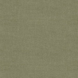 Walton Moss AM100432.30.0 by Kravet Couture Fabric