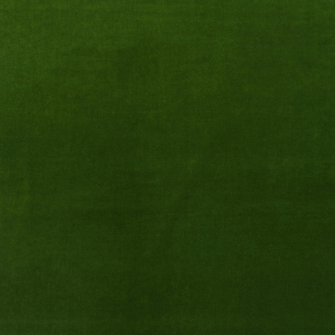 Medici - Ivy By Kravet Couture Fabric