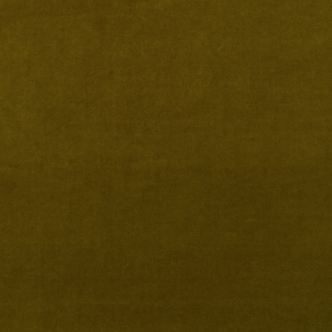 Medici - Olive By Kravet Couture Fabric