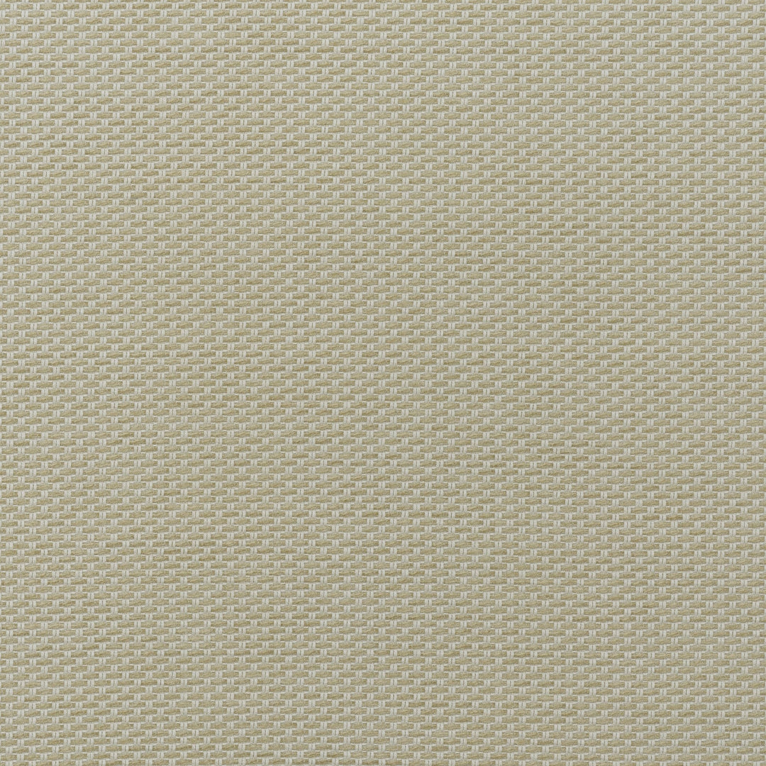 Taormina - Stone By Kravet Couture Fabric