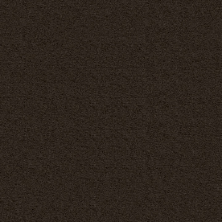 Arlington 8009 Java by ABBEYSHEA Designer Fabric N/A 100% Olefin Canada 175,000 Double Rubs </p><p>Repeat: Horizontal: 0.1" (0.3 cm) Across the Roll and Vertical: 0.2" (0.5 cm) Up the Roll 54" (137 cm) - Swanky Fabrics -