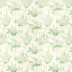 Amateur 2 Sage by Stout Fabric