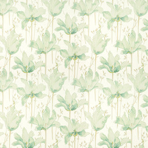 Amateur 2 Sage by Stout Fabric