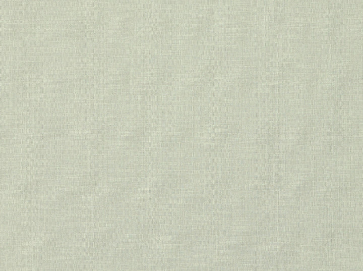 Ambary 126 Alabaster by Covington Fabric 53% POLYESTER, 38% COTTON, 9% VISCOSE India 23000 Horizontal: 0 and Vertical: 0 55 - Fabric Carolina -