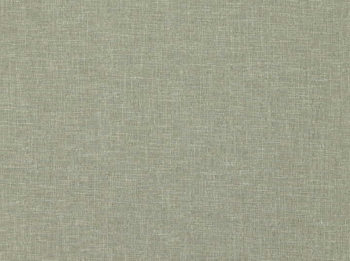 Ambary 132 Mushroom by Covington Fabric 53% POLYESTER, 38% COTTON, 9% VISCOSE India 23000 Horizontal: 0 and Vertical: 0 55 - Fabric Carolina -
