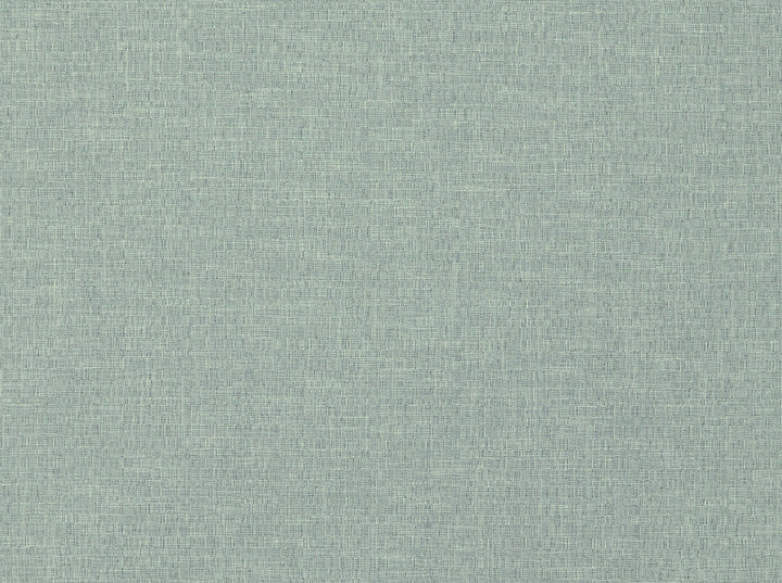 Ambary 506 Vapor by Covington Fabric 53% POLYESTER, 38% COTTON, 9% VISCOSE India 23000 Horizontal: 0 and Vertical: 0 55 - Fabric Carolina -