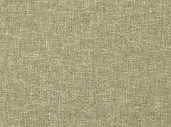 Ambary 65 Jute by Covington Fabric 53% POLYESTER, 38% COTTON, 9% VISCOSE India 23000 Horizontal: 0 and Vertical: 0 55 - Fabric Carolina -
