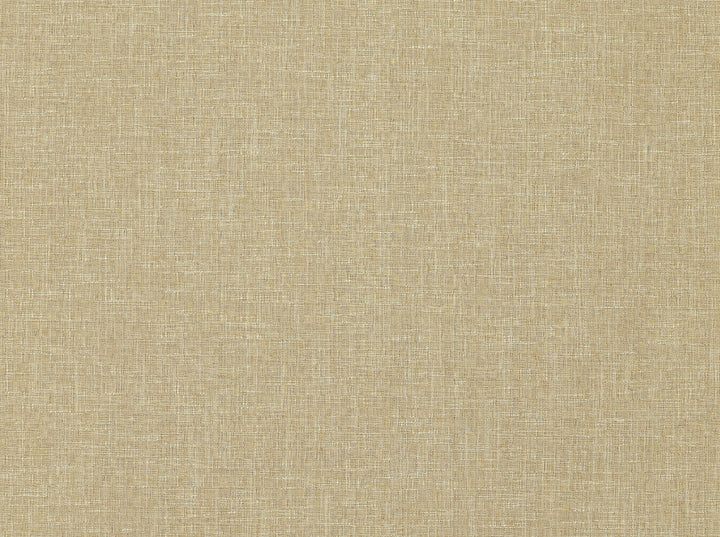 Ambary 7 Blush by Covington Fabric 53% POLYESTER, 38% COTTON, 9% VISCOSE India 23000 Horizontal: 0 and Vertical: 0 55 - Fabric Carolina -