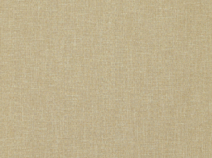 Ambary 7 Blush by Covington Designer Fabric Covington Right 19.5 29.25 0 0 by product