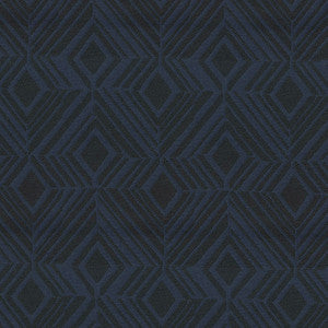 Aspire 308 Midnight by Endurepel Fabric