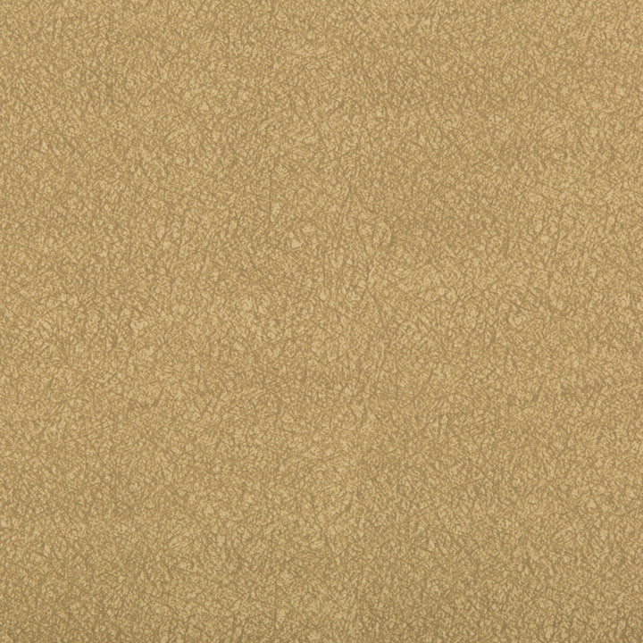 Ames Sandalwood by Kravet Contract Fabric - SILICONE - 100% China HEAVY Horizontal: 0 and Vertical: 0 55 - Fabric Carolina -