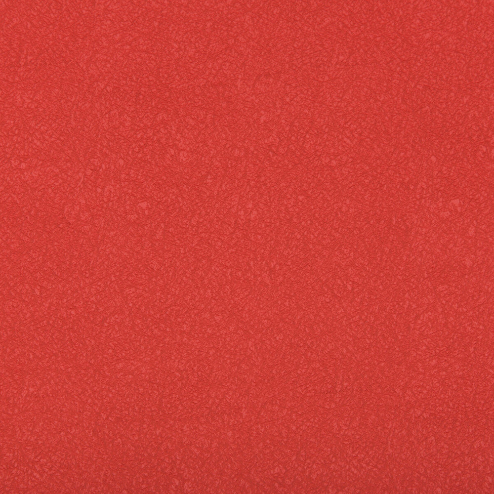 Ames Fiesta by Kravet Contract Fabric SILICONE - 100% China HEAVY Horizontal: 0 and Vertical: 0 55 - Fabric Carolina -