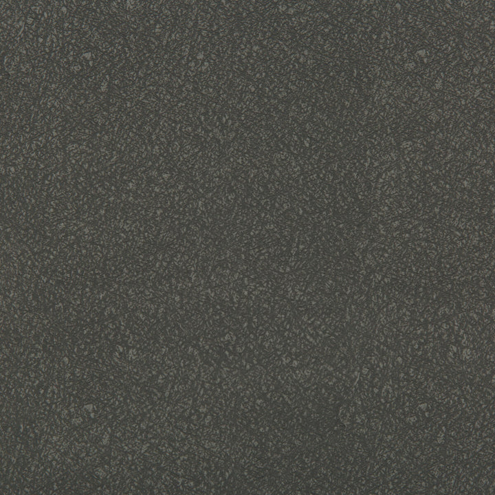 Ames Smoke by Kravet Contract Fabric SILICONE - 100% China HEAVY Horizontal: 0 and Vertical: 0 55 - Fabric Carolina -