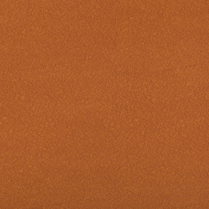 Ames Canyon by Kravet Contract Fabric SILICONE - 100% China HEAVY Horizontal: 0 and Vertical: 0 55 - Fabric Carolina -