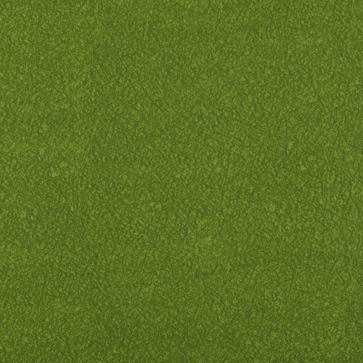 Ames Moss by Kravet Contract Fabric Kravet Contract Fabric Ames MossFabric SILICONE - 100% China </p><p>Repeat: H: 0, V: 0 55 - Fabric Carolina -
