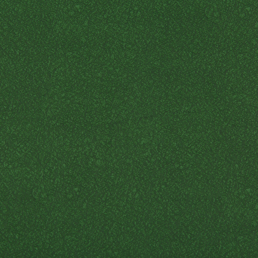 Ames Forest by Kravet Contract Fabric Kravet Contract Fabric Ames ForestFabric SILICONE - 100% China </p><p>Repeat: H: 0, V: 0 55 - Fabric Carolina -