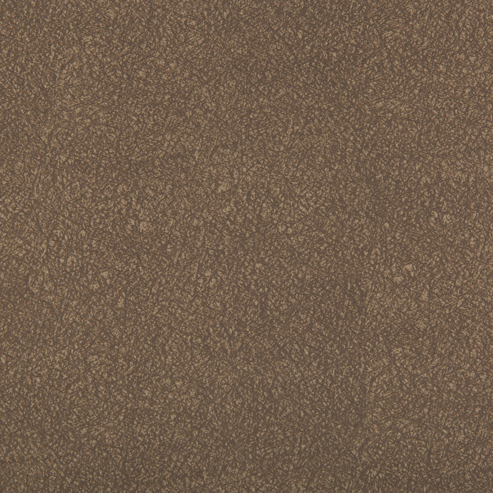 Ames Elephant by Kravet Contract Fabric SILICONE - 100% China HEAVY Horizontal: 0 and Vertical: 0 55 - Fabric Carolina -