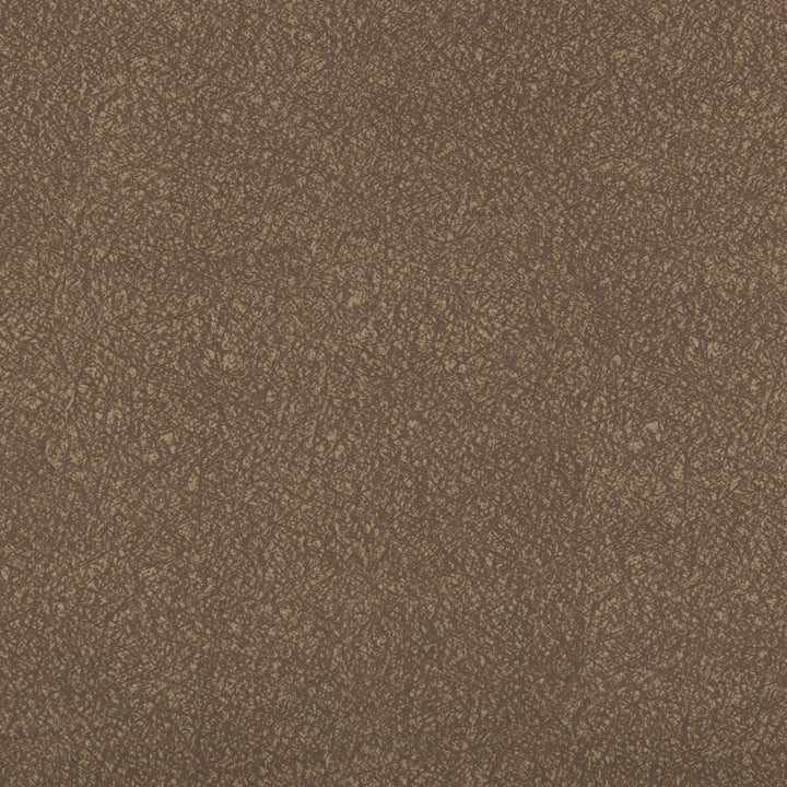 Ames Elephant by Kravet Contract Fabric Kravet Contract Fabric Ames ElephantFabric SILICONE - 100% China </p><p>Repeat: H: 0, V: 0 55 - Fabric Carolina -