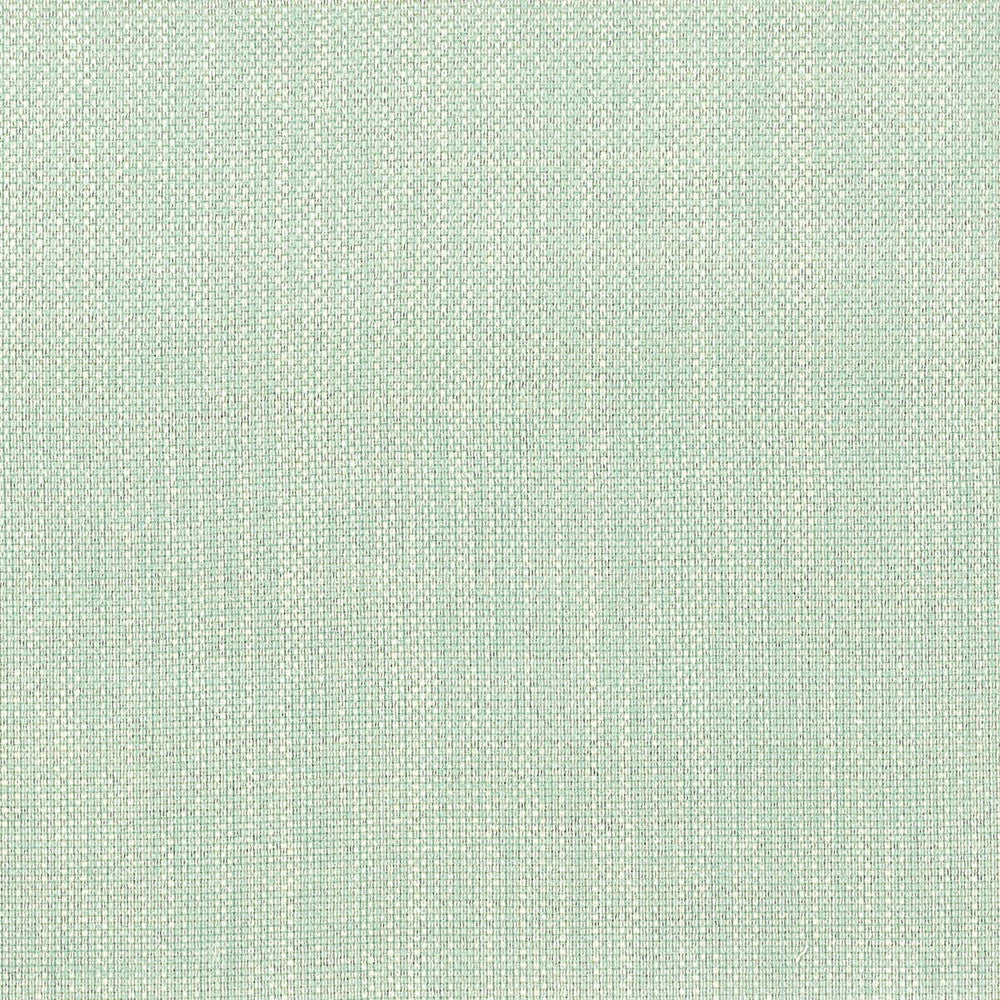 Amnesty 2 Mist by Stout Fabric COMFORTABLE LIVING SEAMIST/AQUA 65%POL 35%COT INDIA FLAME RETARDANT-U.F.A.C. CLASS 1 CATB 117-2013 WYZENBEEK 51 000 DOUBLE RUB WEAR TEST (HEAVY DUTY) Horizontal: 0 and Vertical: 0 54 in - Fabric Carolina -