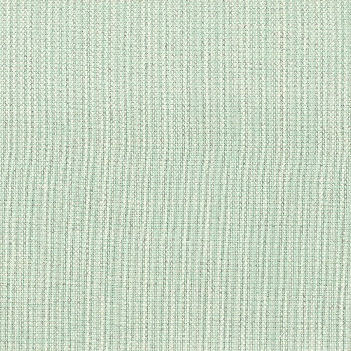 Amnesty 2 Mist by Stout Fabric COMFORTABLE LIVING SEAMIST/AQUA 65%POL 35%COT INDIA FLAME RETARDANT-U.F.A.C. CLASS 1 CATB 117-2013 WYZENBEEK 51 000 DOUBLE RUB WEAR TEST (HEAVY DUTY) </p><p>Repeat: 0 54 in - Fabric Carolina -