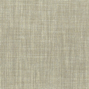 Amnesty 3 Stone by Stout Fabric