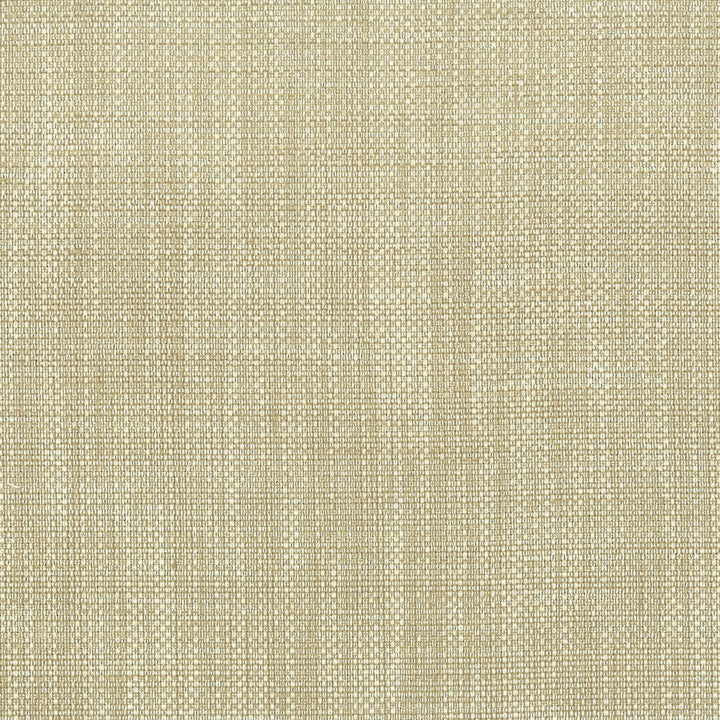Amnesty 4 Mica by Stout Fabric RAINBOW LIBRARY ALMOND/OATMEAL 65%POL 35%COT INDIA FLAME RETARDANT-U.F.A.C. CLASS 1 CATB 117-2013 WYZENBEEK 51 000 DOUBLE RUB WEAR TEST (HEAVY DUTY) Horizontal: 0 and Vertical: 0 54 in - Fabric Carolina -