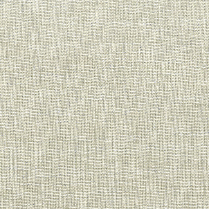 Amnesty 5 Oyster by Stout Fabric RAINBOW LIBRARY MUSHROOM/TAUPE 65%POL 35%COT INDIA FLAME RETARDANT-U.F.A.C. CLASS 1 CATB 117-2013 WYZENBEEK 51 000 DOUBLE RUB WEAR TEST (HEAVY DUTY) Horizontal: 0 and Vertical: 0 54 in - Fabric Carolina -