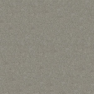 Romance 9003 Dim Grey by ABBEYSHEA Fabric